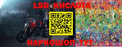 PSILOCYBIN Можга