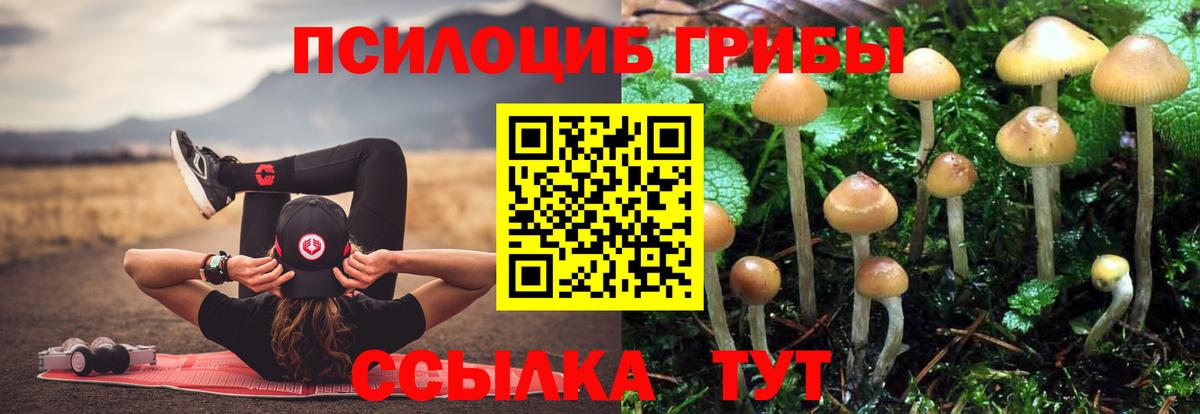 Галлюциногенные грибы MAGIC MUSHROOMS  Галлюциногенные грибы Psilocybe  Вход с VPN  Джанкой 