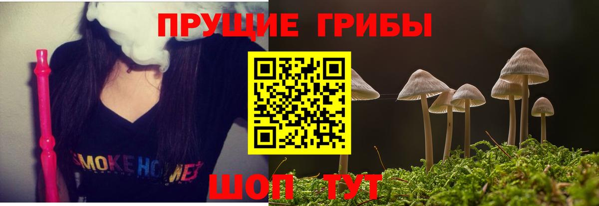 Галлюциногенные грибы Psilocybe Джанкой